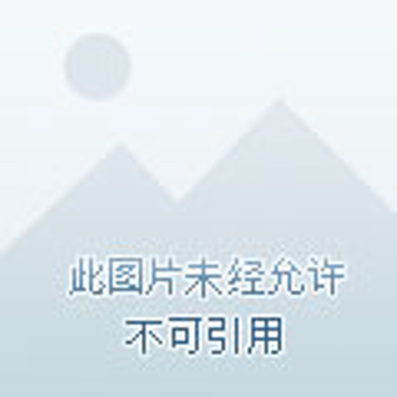 系统集成：构建数字化转型桥梁